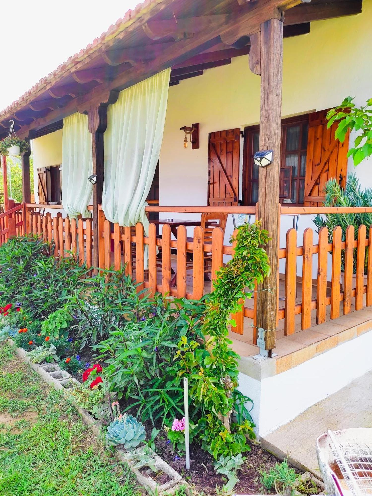 Rodavgi Appartement *